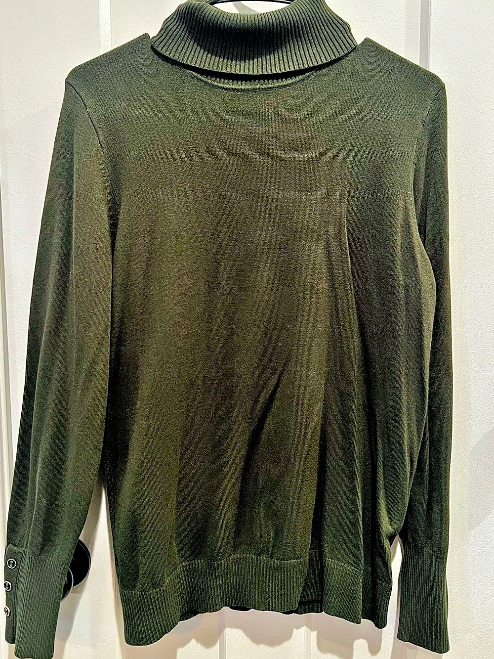 Joseph A. Turtleneck Sweater in Green